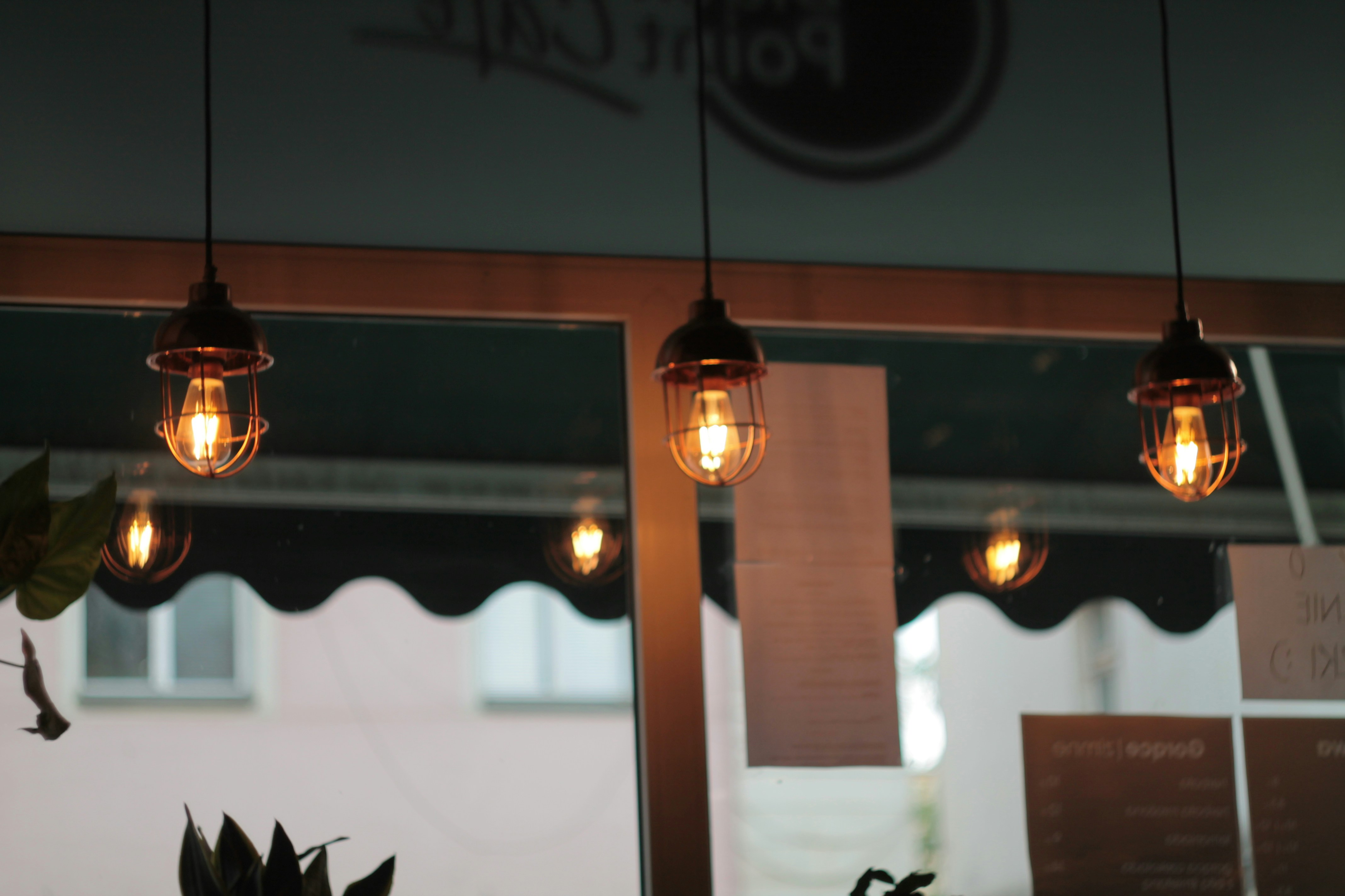 Photo by knuckles_echidna