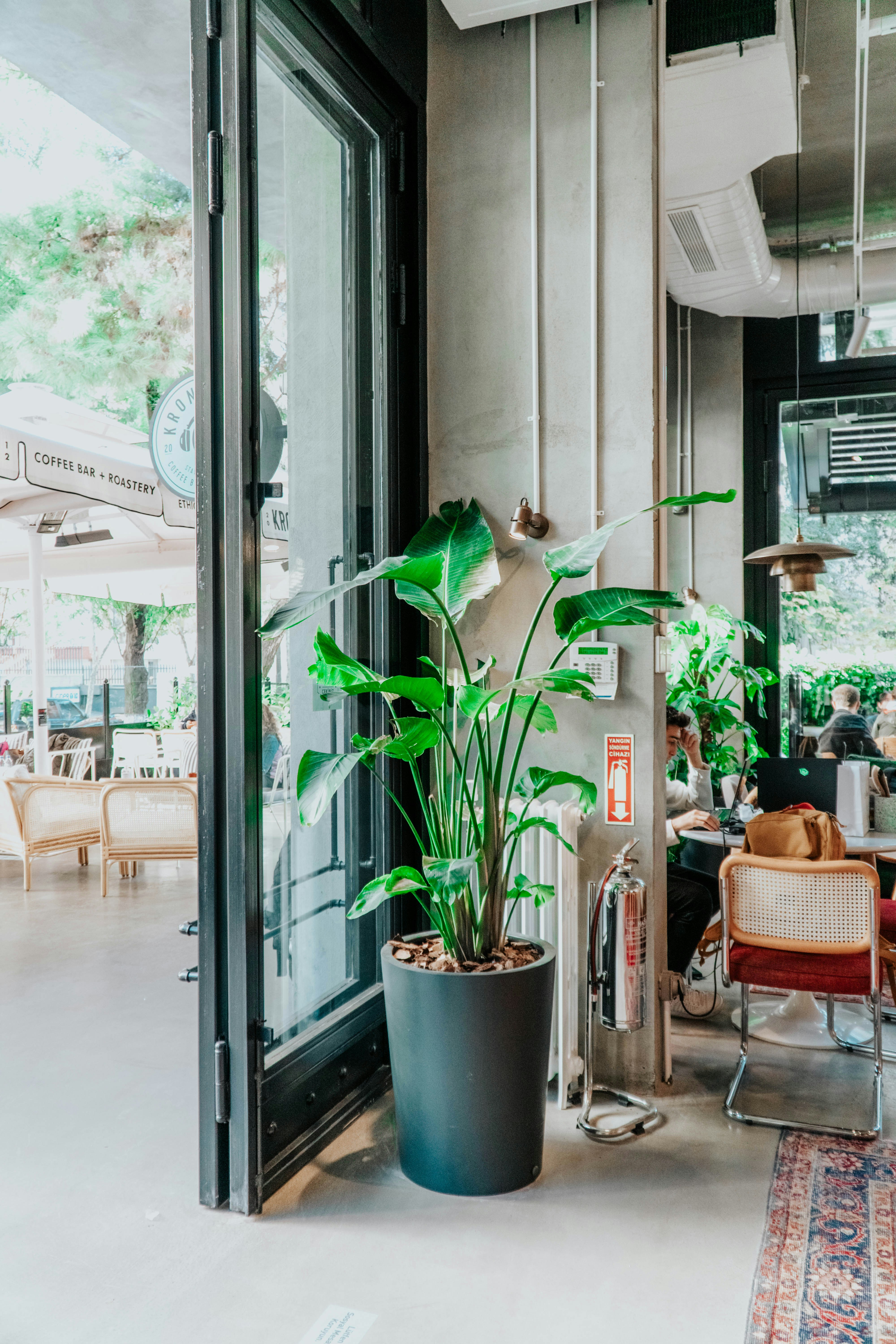 Photo by ceydaciftci