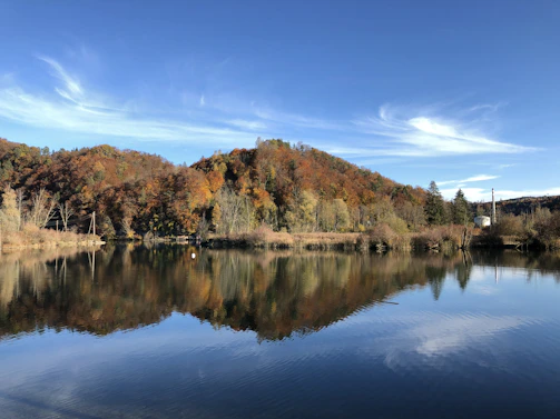 A serene lakeside scene with reflections of autumn trees at dawn.