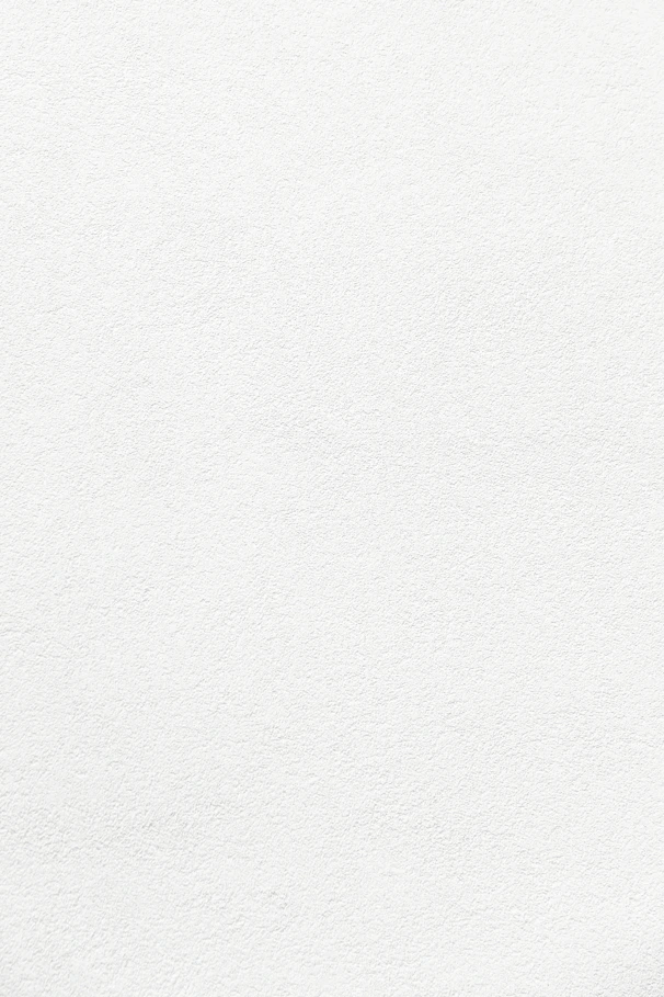 plain white textured plaster surface