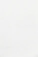 white wall paint with black line