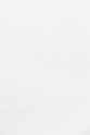 white wall paint with black line