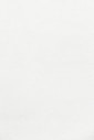 white wall paint with black line