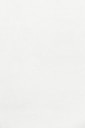 white wall paint with black line