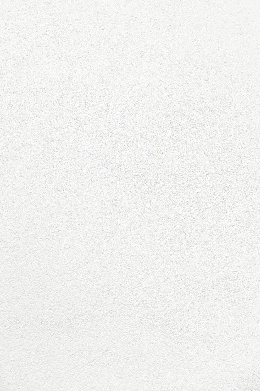 white wall paint with black line