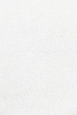white wall paint with black line