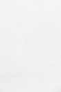 white wall paint with black line