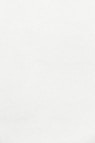 white wall paint with black line