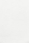 white wall paint with black line