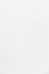 white wall paint with black line