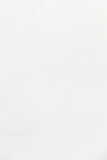 white wall paint with black line
