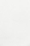 white wall paint with black line