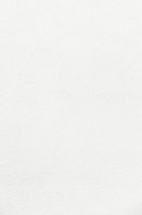 white wall paint with black line