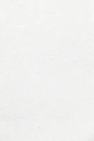 white wall paint with black line