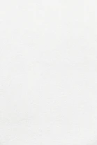 white wall paint with black line