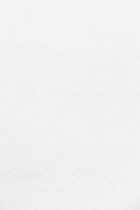 white wall paint with black line