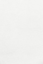 white wall paint with black line