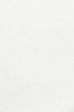 white wall paint with black line