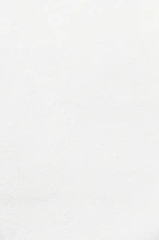 white wall paint with black line