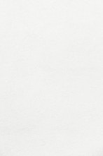 white wall paint with black line