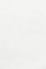 white wall paint with black line