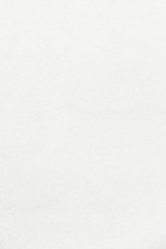 white wall paint with black line