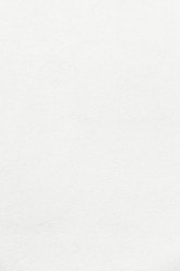 white wall paint with black line