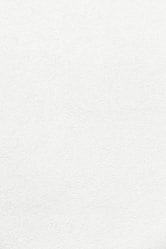 white wall paint with black line