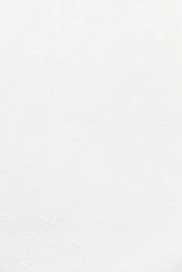 plain white textured plaster surface
