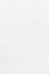 white wall paint with black line