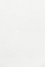 white wall paint with black line