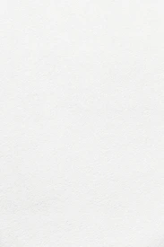 white wall paint with black line