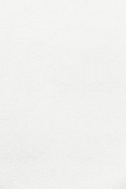 white wall paint with black line