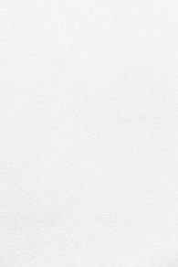 white wall paint with black line