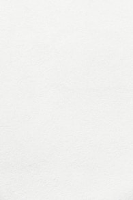 white wall paint with black line