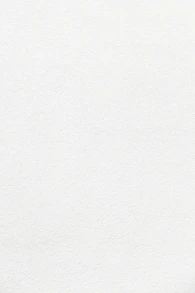 white wall paint with black line