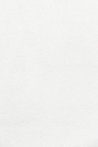 white wall paint with black line