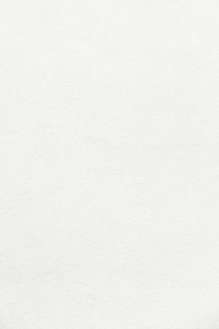 white wall paint with black line