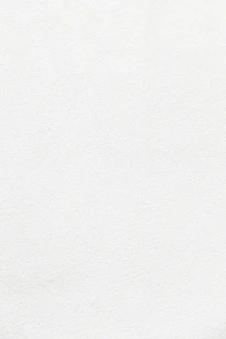 white wall paint with black line
