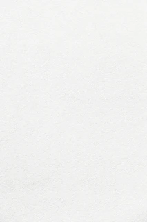 white wall paint with black line