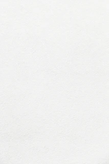 plain white textured plaster surface