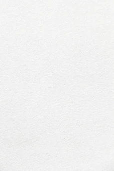 plain white textured plaster surface