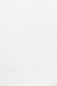 white wall paint with black line