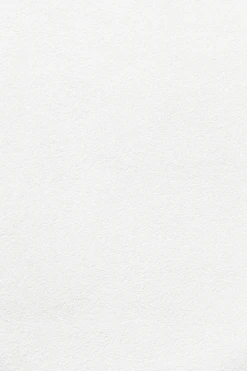 white wall paint with black line