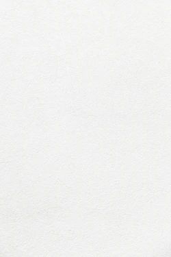 white wall paint with black line