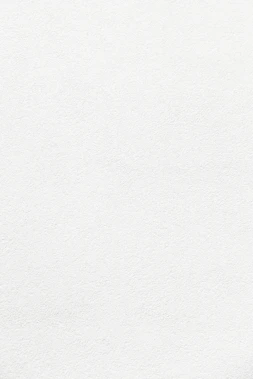 white wall paint with black line