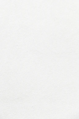 white wall paint with black line