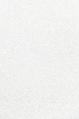 plain white textured plaster surface