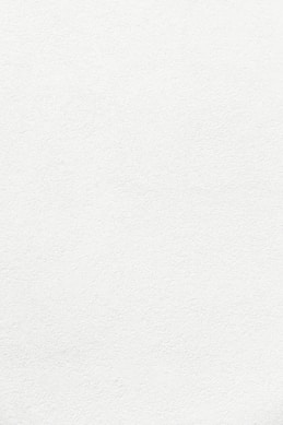 white wall paint with black line