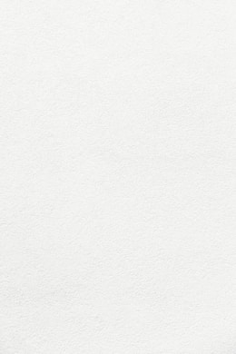 white wall paint with black line